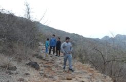 Trekking